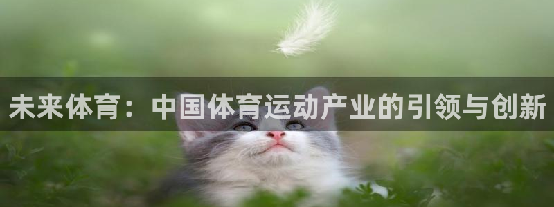抖球体育app手机版免费：未来体育：中国体育运动产业的引领与创新
