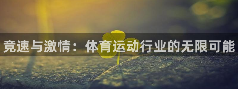 抖球体育：竞速与激情：体育运动行业的无限可能