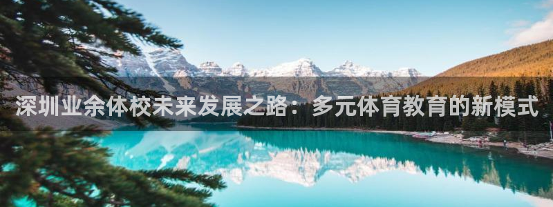 抖球体育直播：深圳业余体校未来发展之路：多元体育教育的新模式