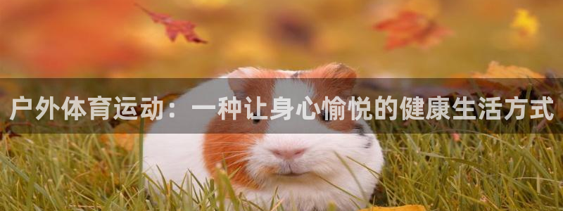 抖球体育：户外体育运动：一种让身心愉悦的健康生活方式