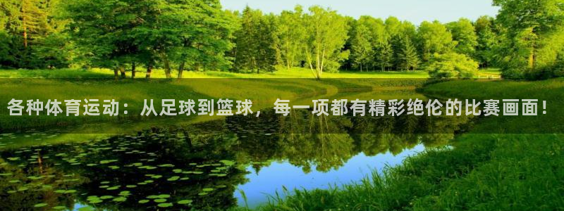 抖球体育直播：各种体育运动：从足球到篮球，每一项都有精彩绝伦的比赛画面！
