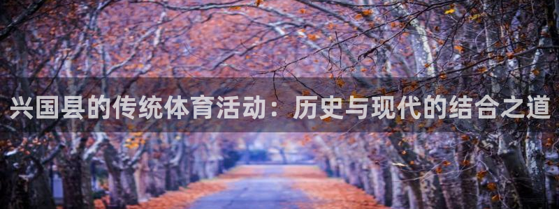 抖球体育app手机版免费：兴国县的传统体育活动：历史与现代的结合之道