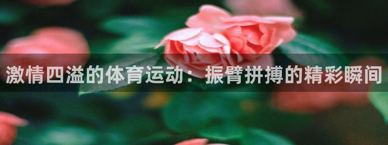 抖球体育：激情四溢的体育运动：振臂拼搏的精彩瞬间