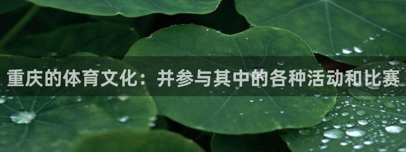 抖球体育直播：重庆的体育文化：并参与其中的各种活动和比赛